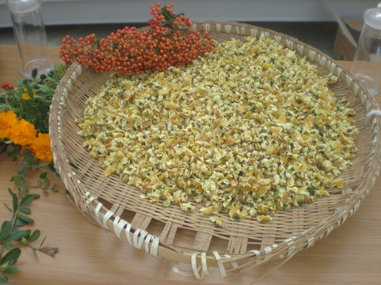 92656b3fdcc1aa745be7649b8ca0a16b_1614930920_6653.jpg 92656b3fdcc1aa745be7649b8ca0a16b_1614930920_6653.jpg