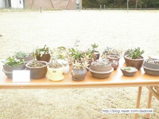 b2399830103a176fdc51c31411465b3e_1615176598_5144.jpg b2399830103a176fdc51c31411465b3e_1615176598_5144.jpg