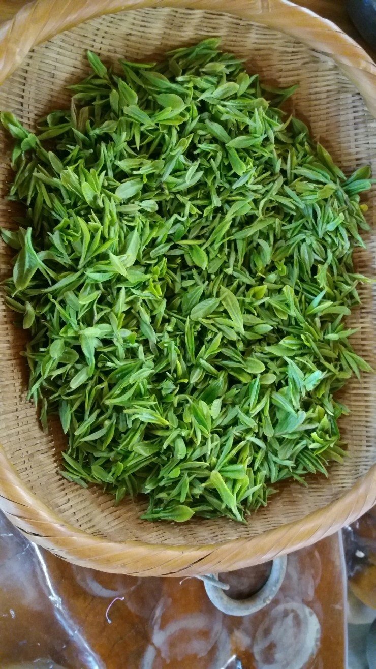 b2399830103a176fdc51c31411465b3e_1615179454_7958.jpg b2399830103a176fdc51c31411465b3e_1615179454_7958.jpg