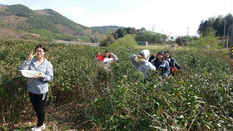 b2399830103a176fdc51c31411465b3e_1615179454_9081.jpg b2399830103a176fdc51c31411465b3e_1615179454_9081.jpg