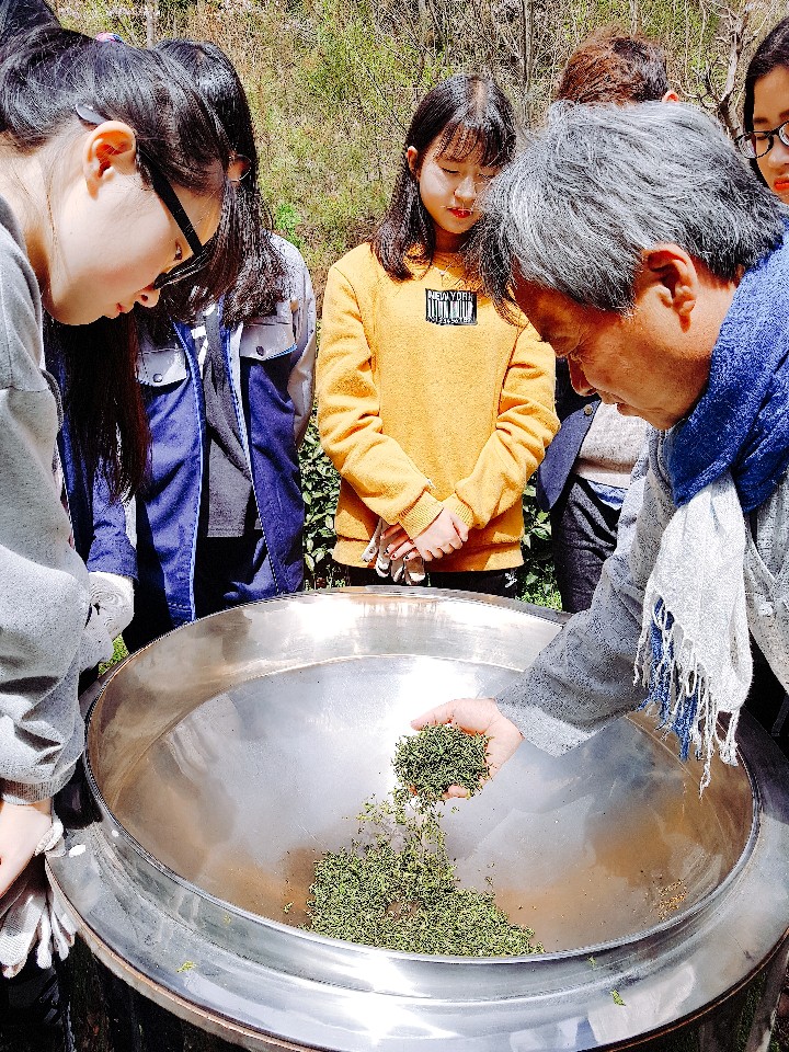 b2399830103a176fdc51c31411465b3e_1615179455_6697.jpg b2399830103a176fdc51c31411465b3e_1615179455_6697.jpg