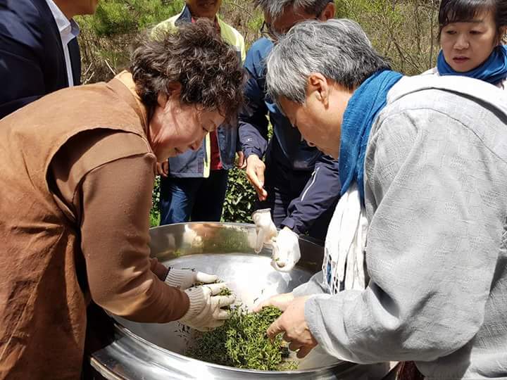 b2399830103a176fdc51c31411465b3e_1615179459_3951.jpg b2399830103a176fdc51c31411465b3e_1615179459_3951.jpg