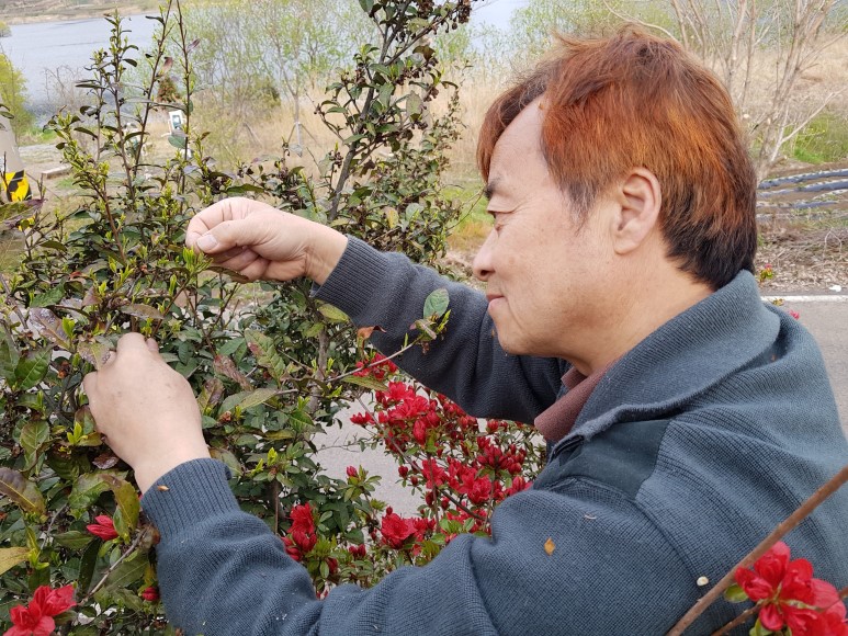 b2399830103a176fdc51c31411465b3e_1615181428_8949.jpg b2399830103a176fdc51c31411465b3e_1615181428_8949.jpg