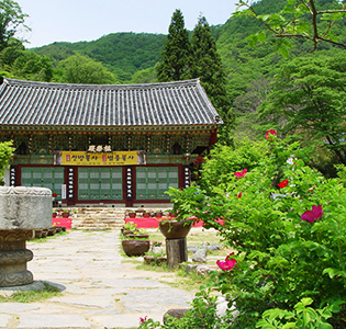 Spring at the Daewonsa Temple