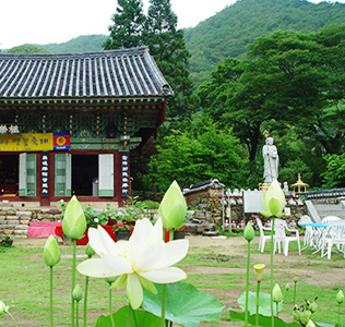 Summer at the Daewonsa Temple