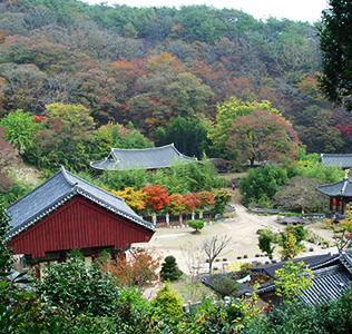 Autumn at the Daewonsa Temple